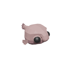 Blobfish